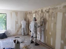 Best Emergency Mold Remediation  in Chester, IL